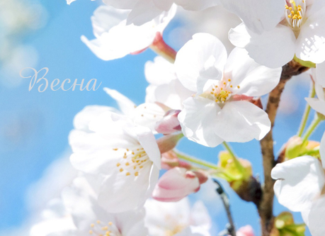 spring 21 imperia
