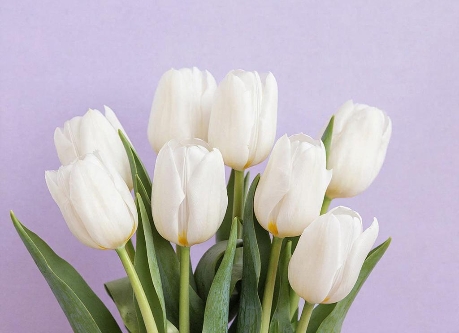 империя8.03.26